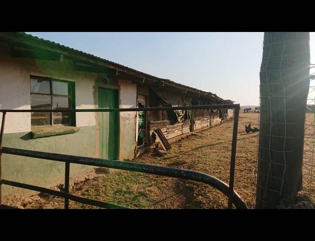 3HA FARM FOR SALE IN HATTINGSPRUIT